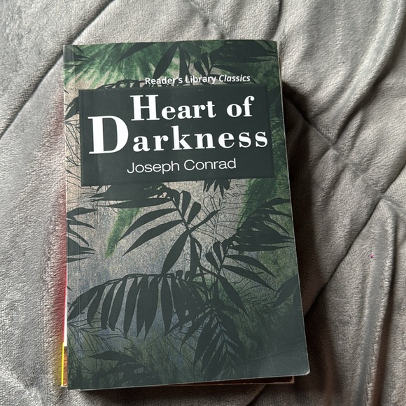 AP Lit books for student bundle - Picture 2 of 4